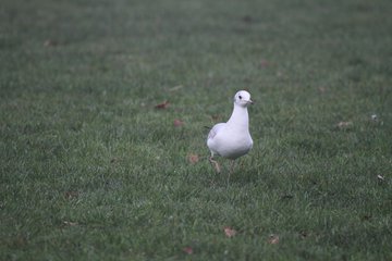 Bild 138 - MTSV2 am 20.11.11